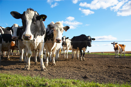 官方網站全新改版上線！